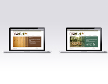 Madyder - Diseño web - Diseño realizado para Spiral Comunicación